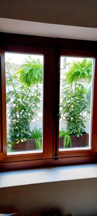 Duplex En Pazo Marques De Aranda Daire Pontevedra Dış mekan fotoğraf